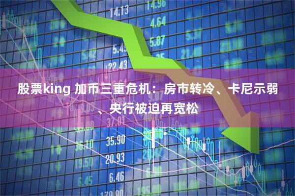 股票king 加币三重危机：房市转冷、卡尼示弱、央行被迫再宽松