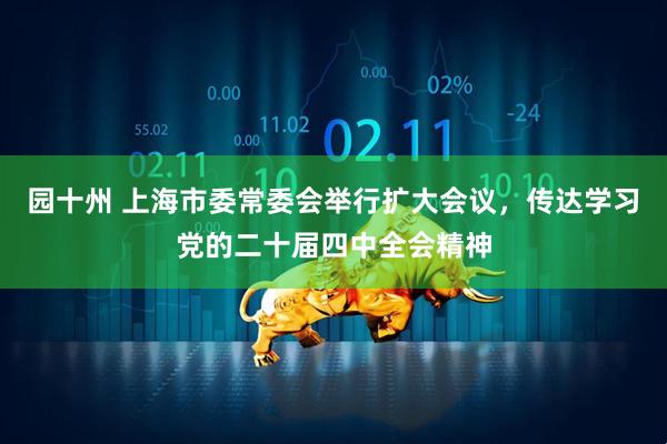 园十州 上海市委常委会举行扩大会议，传达学习党的二十届四中全会精神