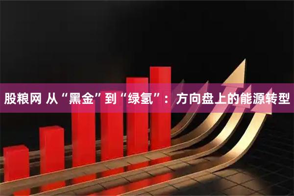 股粮网 从“黑金”到“绿氢”：方向盘上的能源转型
