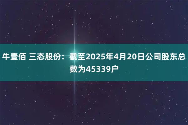 牛壹佰 三态股份：截至2025年4月20日公司股东总数为45339户