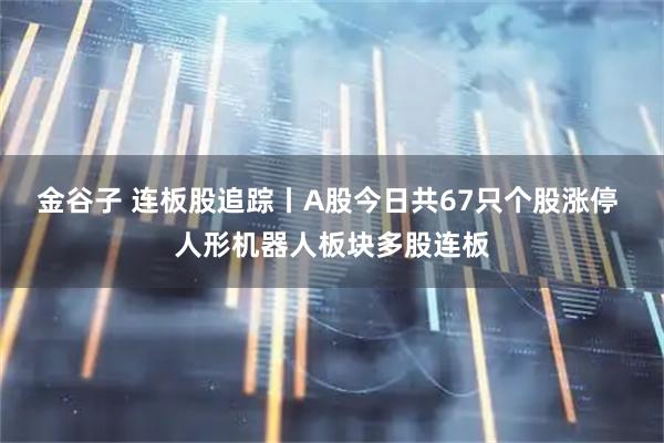 金谷子 连板股追踪丨A股今日共67只个股涨停 人形机器人板块多股连板