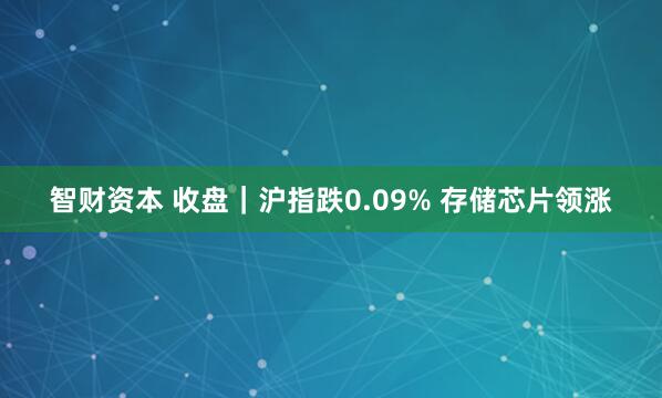 智财资本 收盘｜沪指跌0.09% 存储芯片领涨